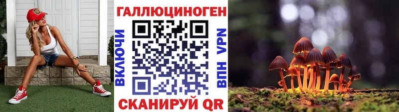 Псилоцибиновые грибы MAGIC MUSHROOMS Кодинск