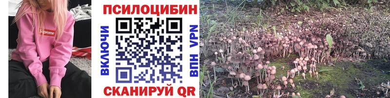 Псилоцибиновые грибы Magic Shrooms  omg зеркало  Кодинск  сколько стоит 